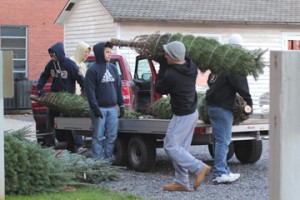 TreeFest '11 Setup