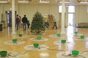 TreeFest '11 Setup