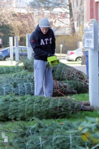 TreeFest '11 Setup