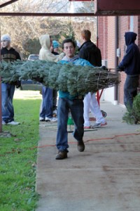 TreeFest '11 Setup