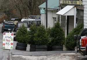 Trees in Tires